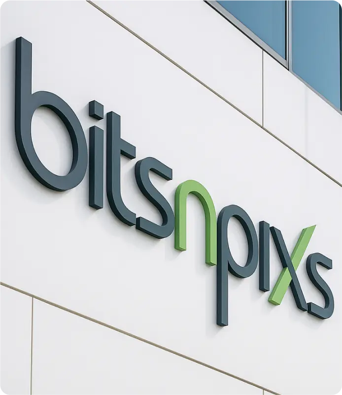 expert digitizers bitsnpixs